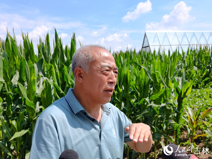 梨樹縣農技推廣總站站長王貴滿。人民網 李洋攝