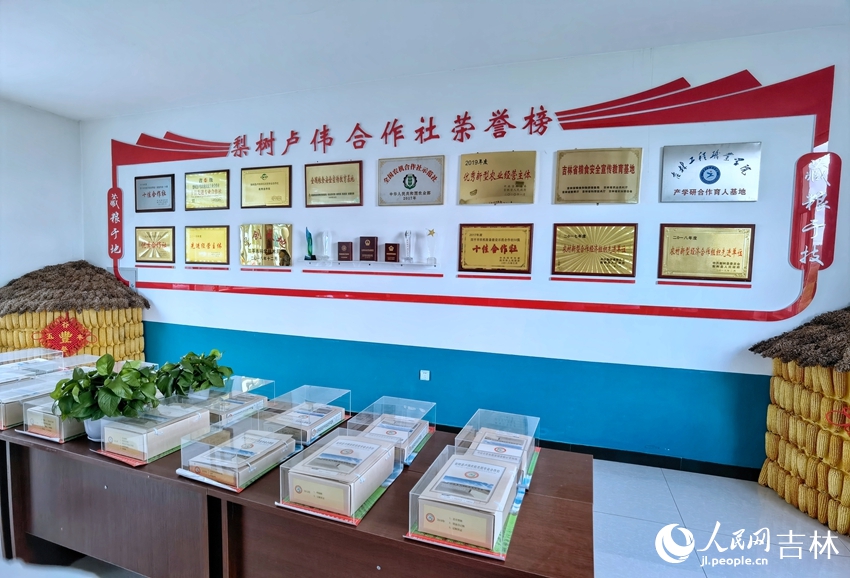 梨樹縣盧偉農機農民專業合作社。人民網 李洋攝