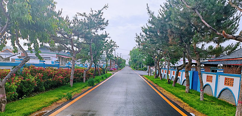 光東村村貌。（光東村供圖）