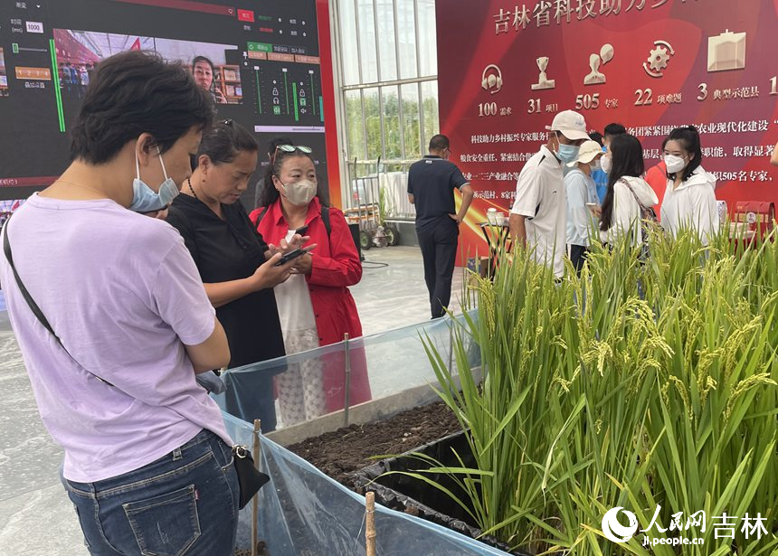 游客駐足參觀。人民網 李思玥攝