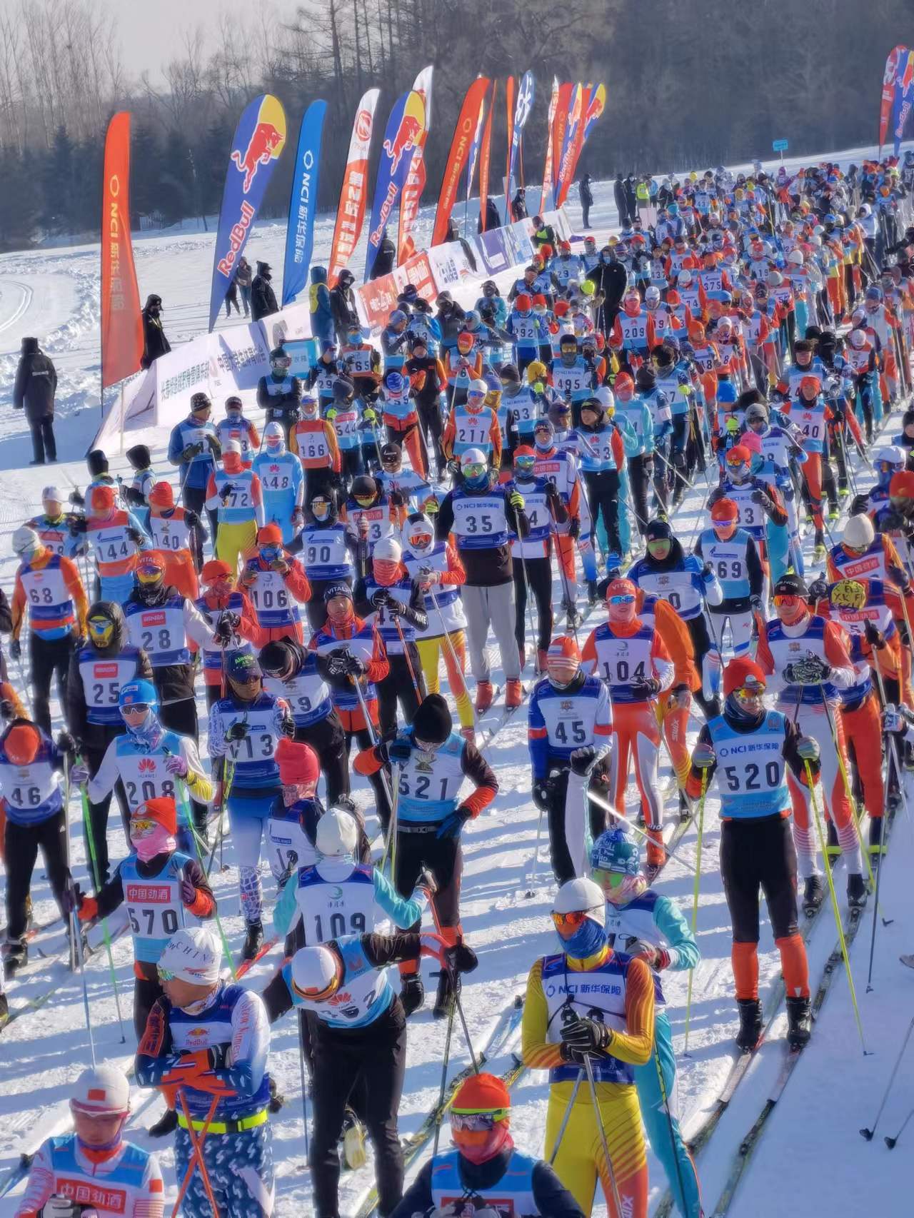 瓦薩國際滑雪節。人民網李洋 攝