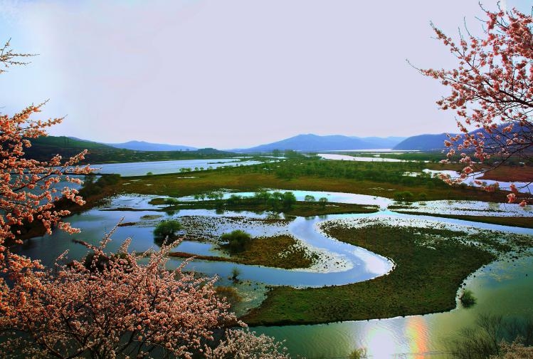 雁鳴湖濕地的春。