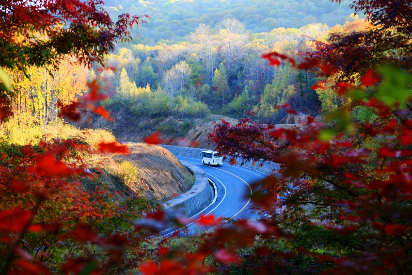 寒蔥嶺紅色旅游觀光的秋。