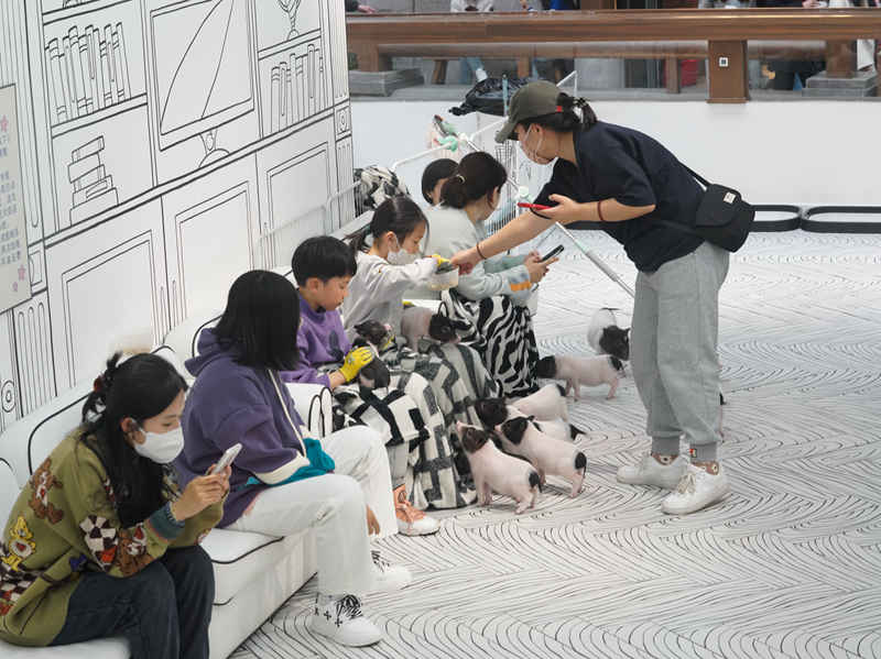 游客解鎖新奇的萌寵體驗。人民網李洋攝
