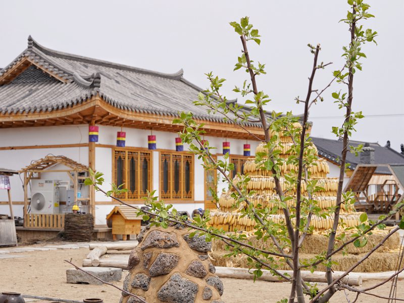 敦化市紅石鄉中成村。人民網李洋 攝