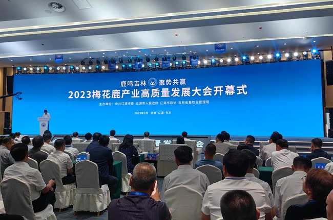 大會現場。人民網記者李洋 攝