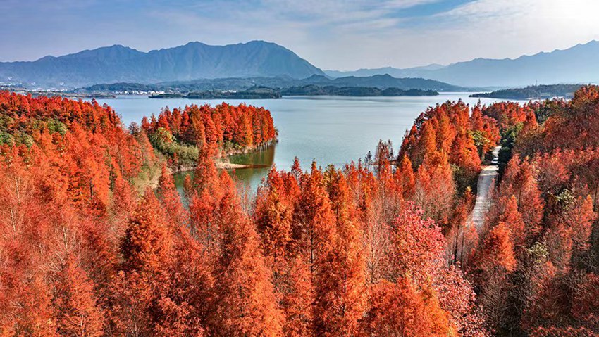 黃山美景。（黃山市供圖）