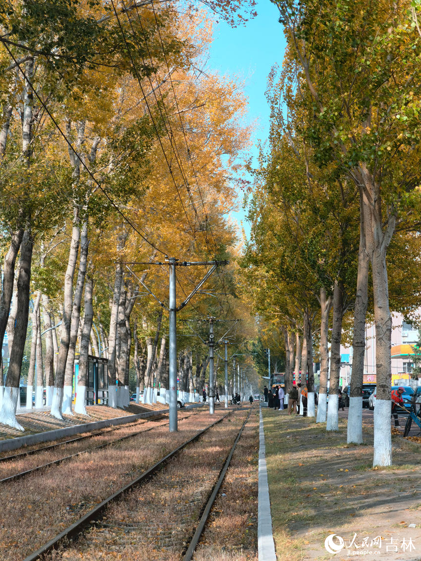 春城大街有軌電車沿線景觀。人民網記者 馬俊華攝