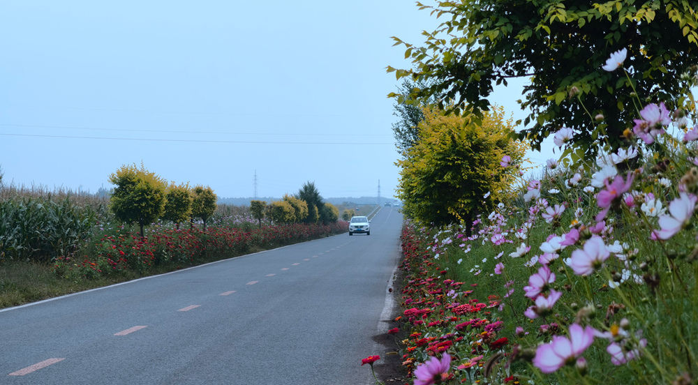 美麗農村公路