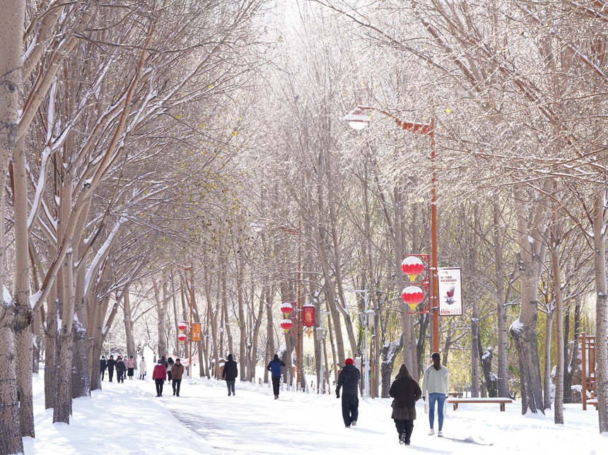 大雪過后，人們紛紛走出家門欣賞美景。人民網記者 李洋攝