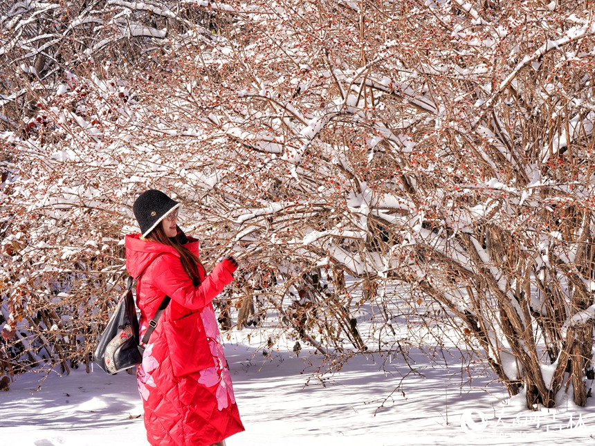 大雪過后，人們走進公園欣賞美景。人民網記者 李洋攝