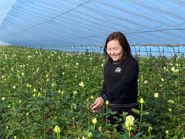楊雪在大棚中查看鮮花長勢。（資料照片）人民網記者 李洋攝