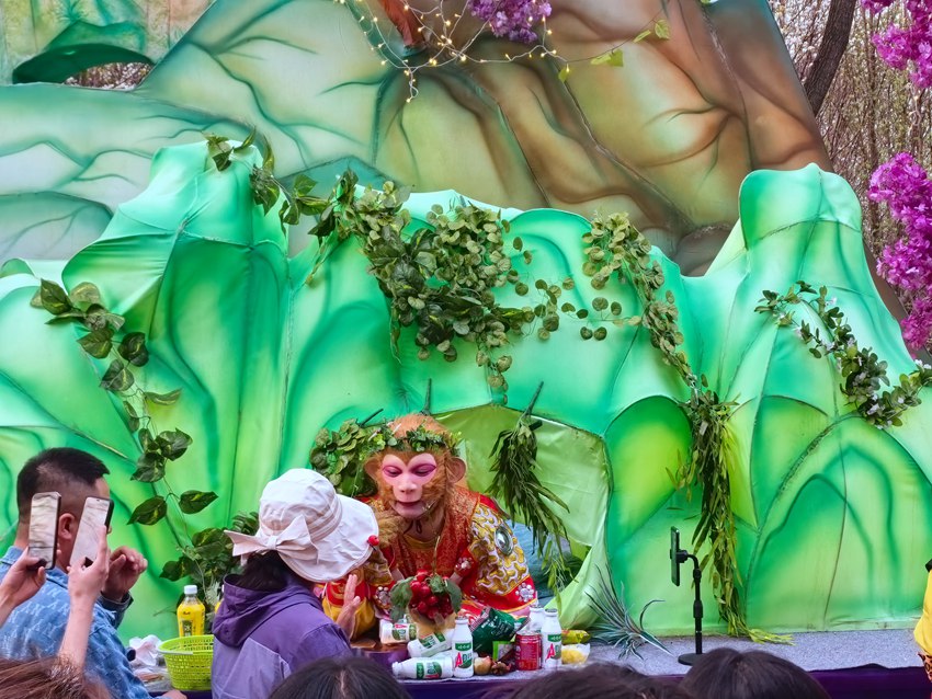 “雪餅猴”成為長春動植物公園的“明星”。人民網記者 王海躍攝