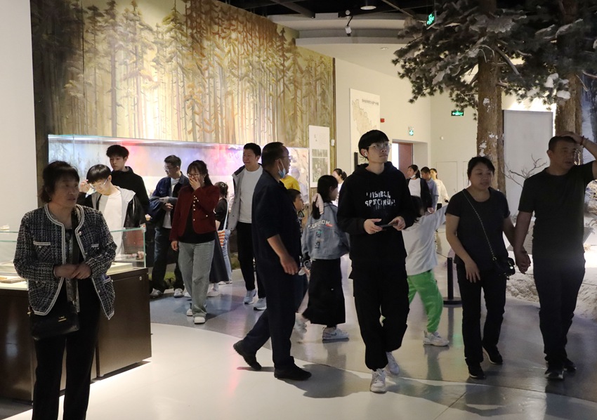 五一期間，吉林省博物院人氣旺。（吉林省博物院供圖）