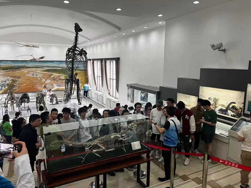 吉林大學地質博物館古生物化石陳列吸引游客駐足參觀拍照。（吉林大學地質博物館供圖）