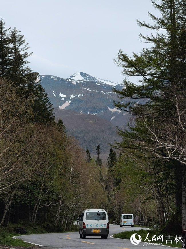 遠眺長白山。人民網記者 馬俊華攝