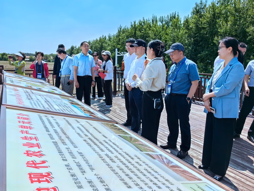 20余位來自各行各業的臺商臺企代表走進梨樹縣。人民網記者 王海躍攝