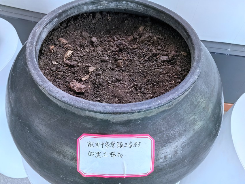 中國黑土地博物院陳列的黑土樣品。人民網記者 王海躍攝
