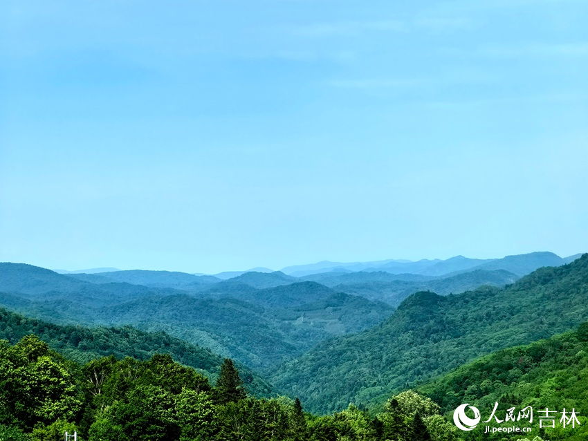 站在臨江市溪谷高山草原遠眺群山，層巒疊嶂。人民網記者 王海躍攝