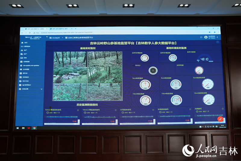 在吉林通化的云嶺野山參基地的數字人參大數據平臺上，光照度、地表濕度、風速等數據被實時記錄，以檢測人參生長狀態。人民網記者 李洋攝