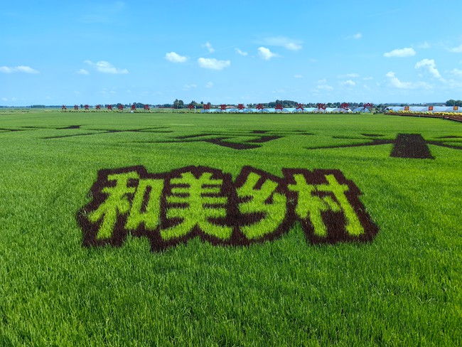 九臺區紅光村。人民網記者 李洋攝