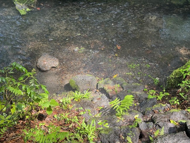大雨過后，安圖長白山天然礦泉水產業園區內水霧彌漫，宛如仙境。人民網記者 李思玥攝