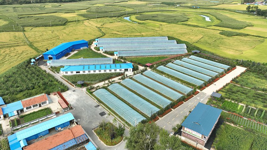 果蔬種植采摘基地。（梅河口市宣傳部供圖）