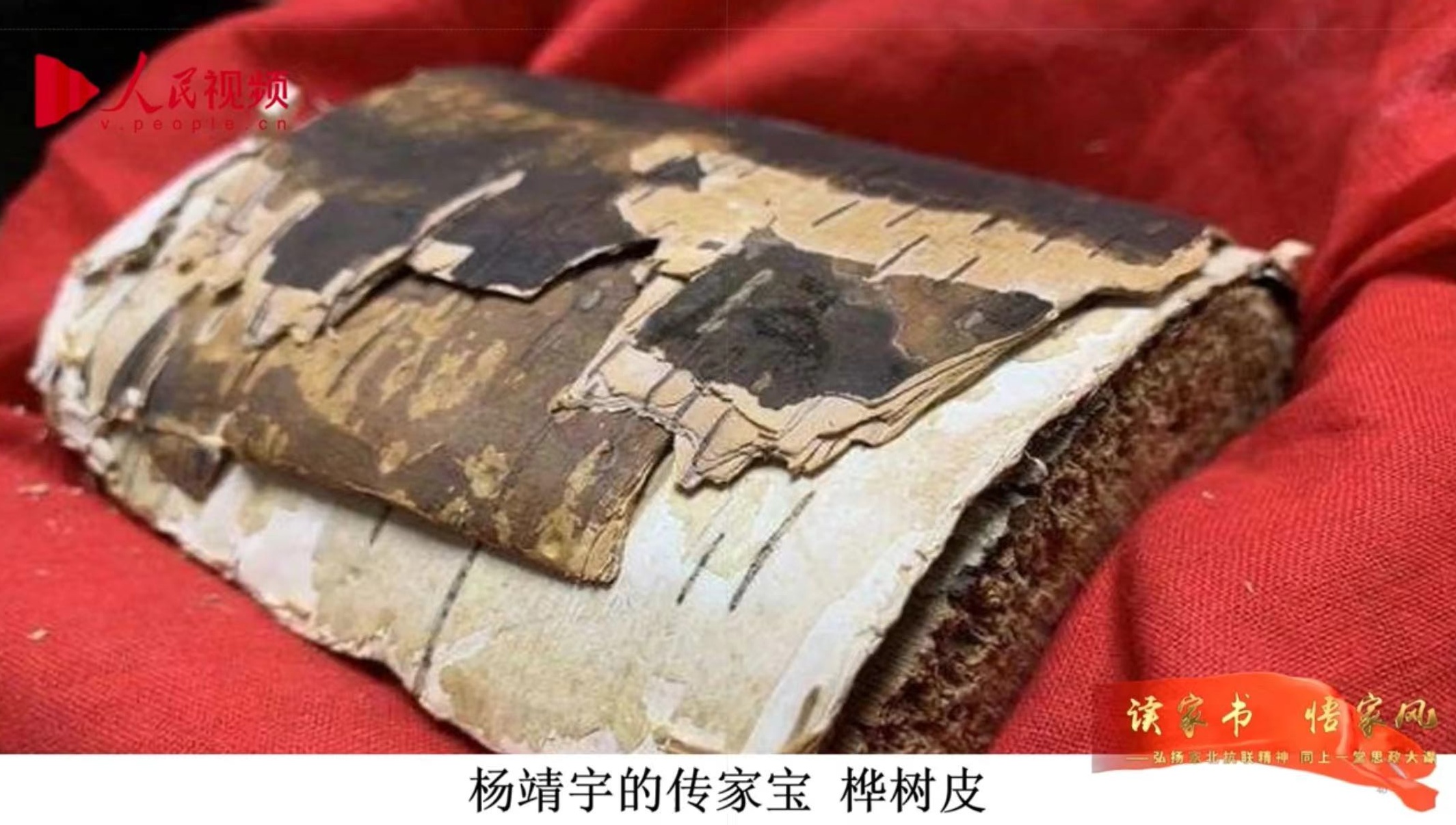 直播課程截圖。