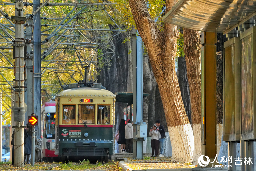 金秋時節,長春市54路有軌電車落葉景觀街區迎來最佳觀賞期。人民網記者 李洋攝