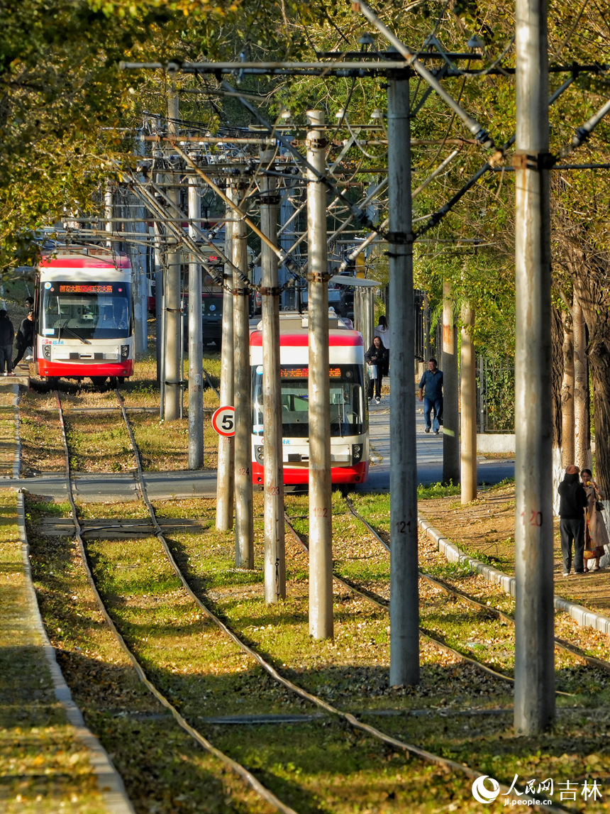 開行在林蔭中的有軌電車。人民網記者 李洋攝