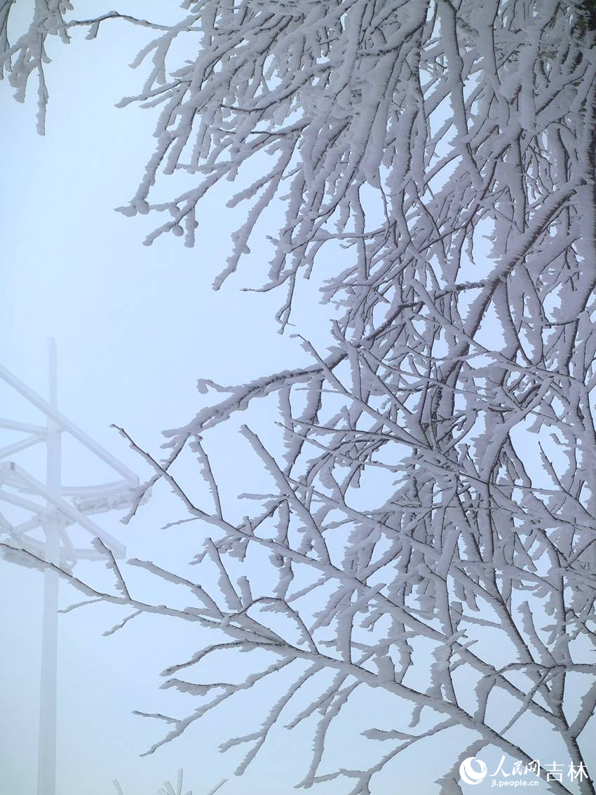 吉林市初雪玉樹銀花，分外妖嬈。人民網記者 王海躍攝