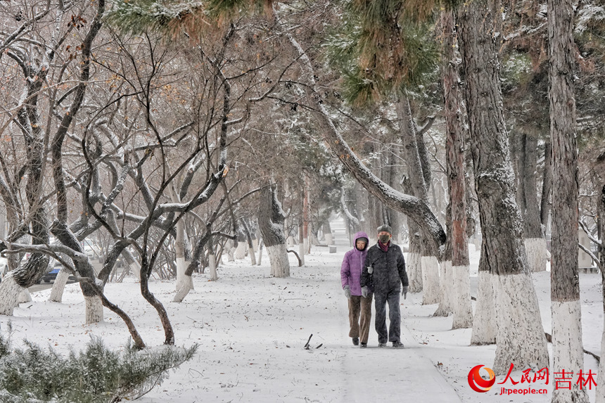 市民在公園中賞雪。人民網記者 李洋攝