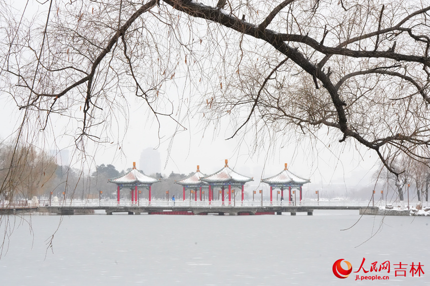 雪中長春南湖美景。人民網記者 李洋攝