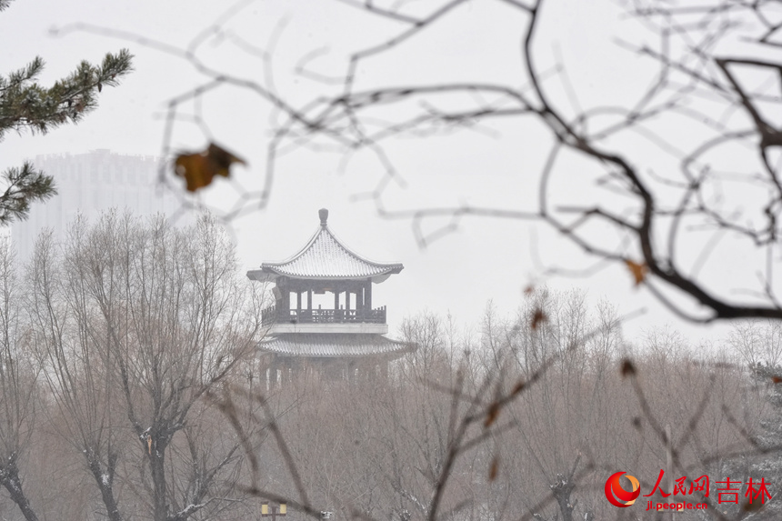 雪中長春德苑美景。人民網記者 李洋攝