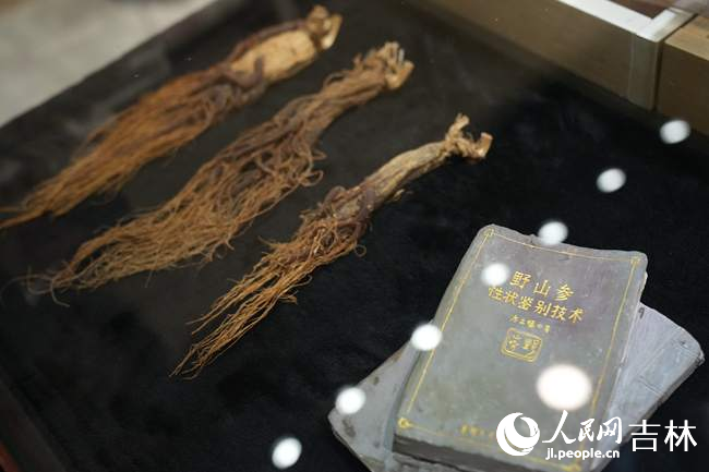 長白山雪街展示的人參產品。人民網記者 李洋攝