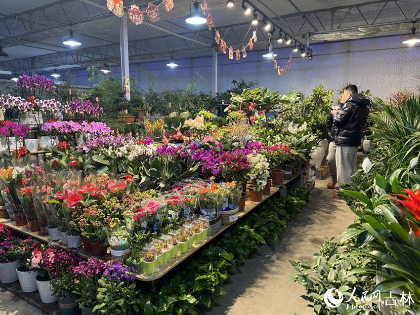 青怡坊植物倉。人民網記者 李思玥攝