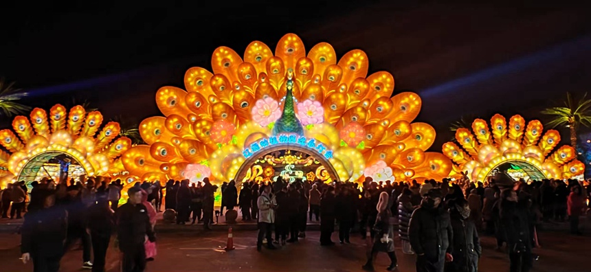 【組圖】2025遼源動植物園迎春燈會光彩開幕！
