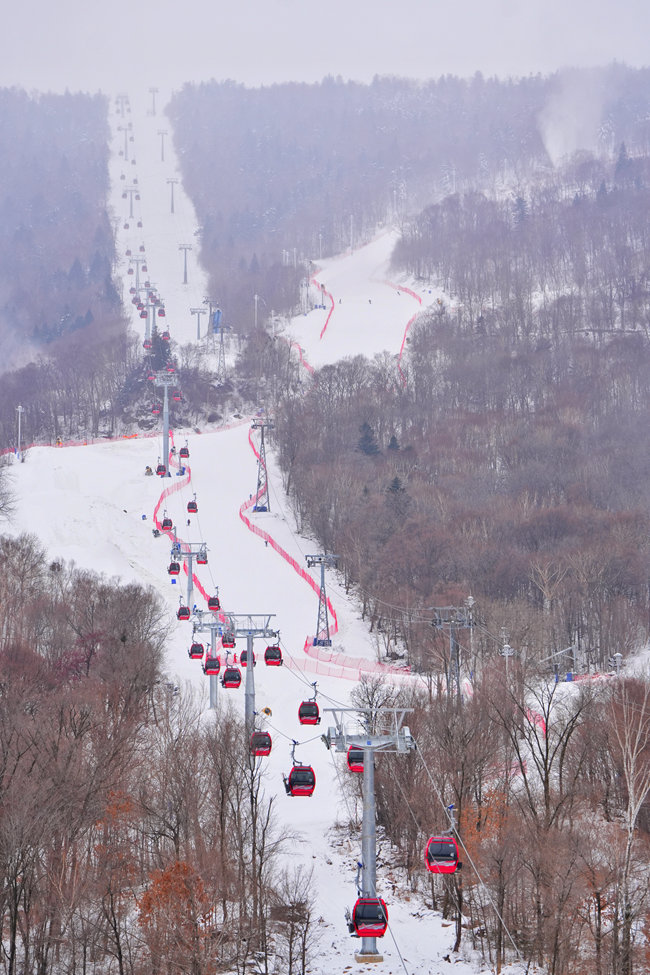 北大湖滑雪度假區直通山頂的纜車和雪道。人民網記者 李洋攝