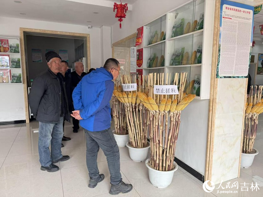 種子經銷店內，前來購買種子的農民認真挑選著。人民網記者 李思玥