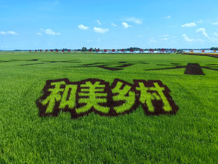 九臺區紅光村。人民網記者 李洋攝