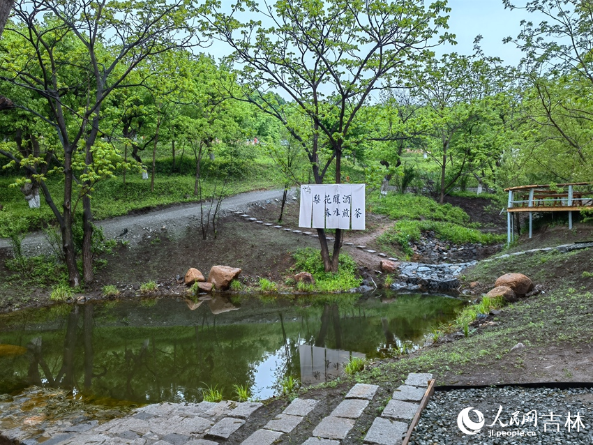 百年梨園。人民網記者 馬俊華攝