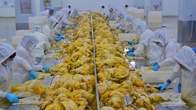 行進中國｜東北酸菜里的幸福味道在長春九臺經濟開發區朱老六食品股份有限公司酸菜生產車間，一缸缸酸菜散發出濃郁的香味，清冽的漿水透亮醇厚。