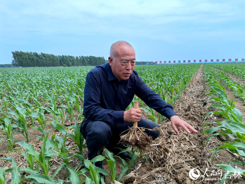 王貴滿介紹“梨樹模式”。人民網記者 馬俊華攝
