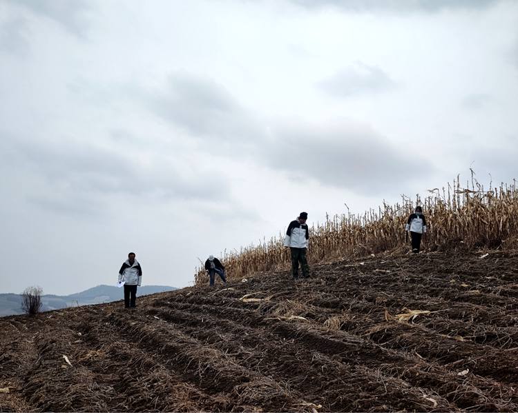 靖宇縣四普隊員保持間距實地采集標本。