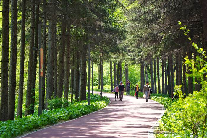 長春南湖公園。人民網記者 李洋攝