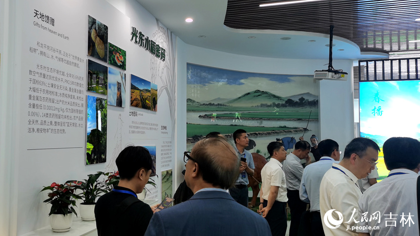 光東村稻米展覽館。人民網記者 王帝元攝