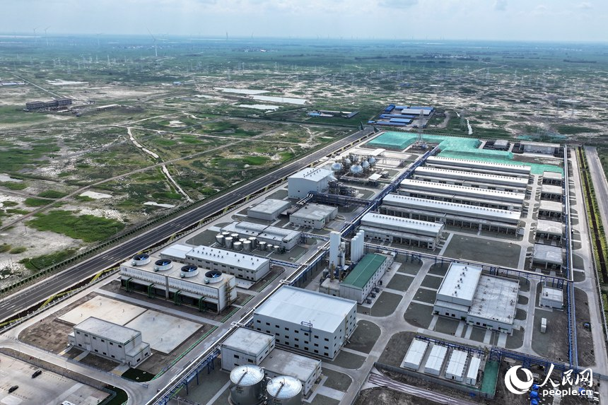 7月26日，吉林大安風光制綠氫合成氨一體化示范項目正式投產。人民網記者 李洋攝