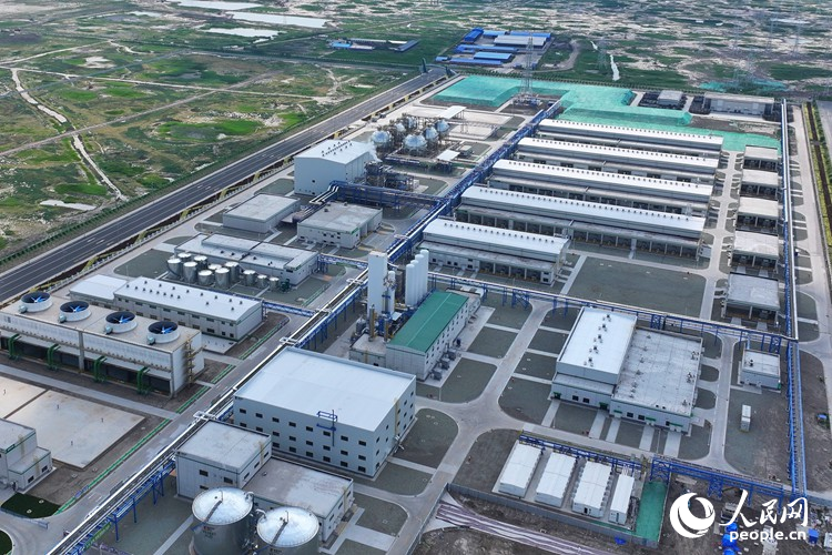 吉林大安風光制綠氫合成氨一體化示范項目。人民網記者 李洋攝