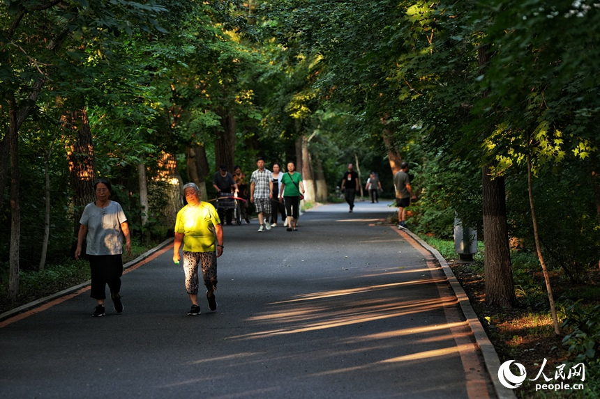傍晚時分，市民在家門口的公園內愜意地散步。人民網記者 李洋攝
