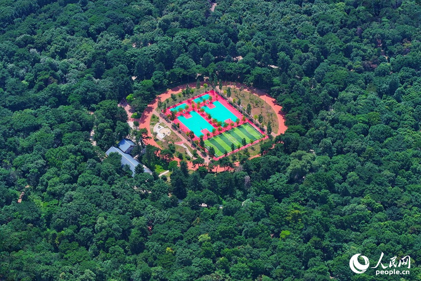 長春南湖公園內，被綠意環繞的運動場。人民網記者 李洋攝